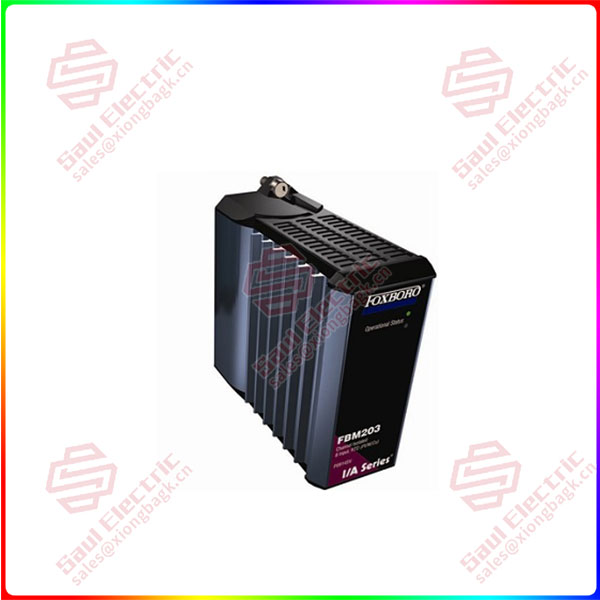 FBM203b Compact FBM203/c/d Platinum/Nickel/Copper RTD Input Modules ...